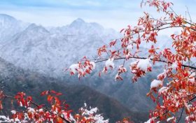天冷不穿秋褲會凍出關(guān)節(jié)炎？醫(yī)生：關(guān)節(jié)炎不是“凍”出來的但秋褲該穿還得穿縮略圖