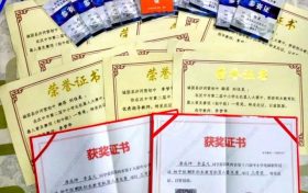 優(yōu)秀！城固縣兩名學(xué)生喜獲世界機(jī)器人大賽國賽二等獎 →縮略圖