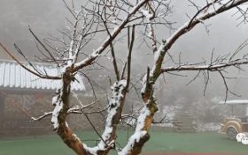 12月全國將有四次冷空氣過程縮略圖