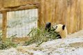 漢中多地下雪了，陜西氣象最新發(fā)布→縮略圖
