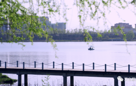 寒潮來了！今明兩天陜西部分地區(qū)有雨夾雪、刮風(fēng)天氣縮略圖