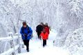 隨著冷空氣的抵達(dá)，陜西迎來(lái)一份雨雪、降溫、吹風(fēng)天氣過(guò)程縮略圖