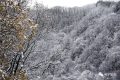 雨雪天氣今晚就到！安全防御指南請收好→縮略圖