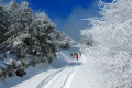 一場浪漫冬雪，讓鎮(zhèn)巴美出圈！縮略圖