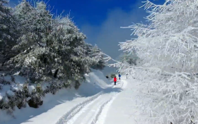 一場浪漫冬雪，讓鎮(zhèn)巴美出圈！縮略圖