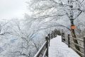 龍頭山今日又下雪啦，每一幀都是“限定浪漫”！縮略圖