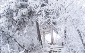 賞雪時節(jié)已至，漢江源邀您感受白色浪漫！縮略圖