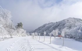 天冷了，吃點啥有助抗寒？縮略圖