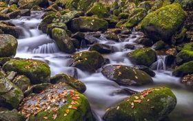 冬日快來佛坪，體驗零霧霾小城大口呼吸的暢快！縮略圖