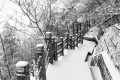 冷?冷?冷?，最低零下 6 ℃ ，漢臺(tái)迎來(lái)新一輪降溫降雪，詳情→縮略圖