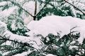漢中，下雪啦！縮略圖