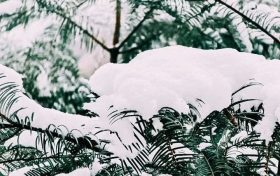 漢中，下雪啦！縮略圖