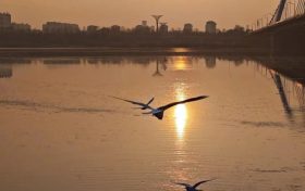 興元路修建完成，公交集團(tuán)24路公交線路恢復(fù)運(yùn)營縮略圖