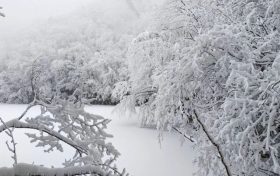 局地積雪可達(dá)10cm！冰雪路面如何安全行車？縮略圖