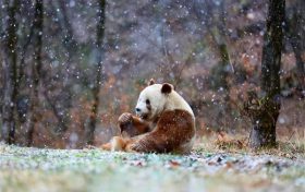 漢中2條線路入選全國精品！縮略圖