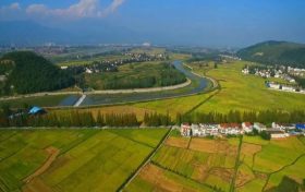 陜西省濕地保護(hù)成效顯著 彩鹮、桃花水母在陜均有發(fā)現(xiàn)縮略圖