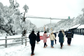 太美啦！漢江源景區(qū)下雪啦！滑雪場也即將開放！縮略圖