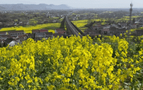 吹風降溫降雨要來了 23-25日陜西有一次中雨天氣過程縮略圖