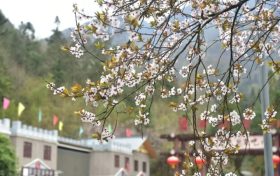 漢江源云海索道年檢，3月27日起索道臨時停運縮略圖