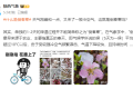 注意！陜西新一輪雨雪天氣要來了！縮略圖