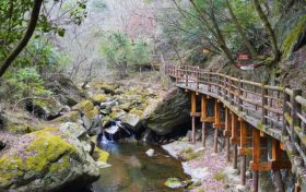 好消息！漢臺一景區(qū)恢復(fù)開園，3月8日女士免費(fèi)→縮略圖