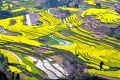 不負(fù)好春光！寧強(qiáng)這4條春季旅游線路快收藏！縮略圖