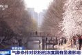 氣象條件對(duì)花粉濃度有哪些影響？花粉季要注意什么？專家解答縮略圖