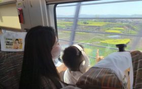 坐著高鐵穿花海！這趟列車太“治愈”了！縮略圖