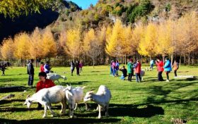 留壩入選“五一”最美鄉(xiāng)村旅游目的地！縮略圖