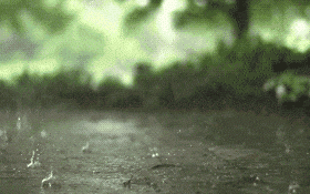 受短波槽東移影響，16-17日我省中南部有降水天氣??縮略圖