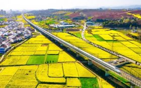 坐上高鐵去漢中，共赴一場(chǎng)浪漫之旅！縮略圖