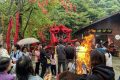抓住假期的尾巴，來漢中這里不負千里迢迢的旅程！縮略圖