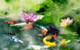 漢臺(tái)荷花盛放！一場夏日的賞花之旅等待您的到來縮略圖