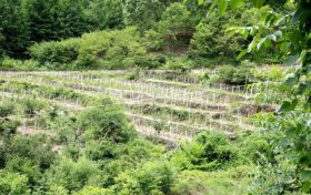 強(qiáng)對流藍(lán)色預(yù)警！漢中這些地方請注意→縮略圖