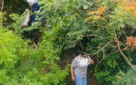 行人為走捷徑欲橫穿高速，漢中高速交警及時勸離縮略圖