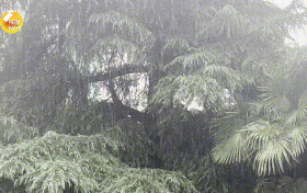 未來三天，陜西有強(qiáng)降水天氣過程，局地短時(shí)暴雨，具體預(yù)報(bào)→縮略圖