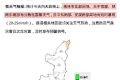強(qiáng)降雨天氣持續(xù)！局地大到暴雨！這些一定要做到→縮略圖