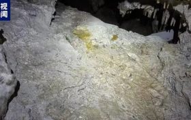 國內罕見！陜西漢中發(fā)現(xiàn)完整度較高的大熊貓化石縮略圖