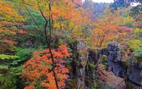 邂逅彩林，感受漢江源的秋日之美縮略圖