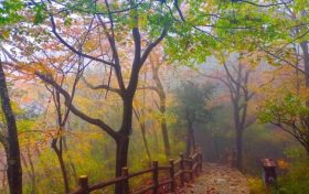 7日6時(shí)20分立冬：昨夜清霜冷絮裯，紛紛紅葉滿(mǎn)階頭縮略圖