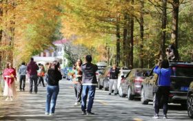 藏不住了！來(lái)秦嶺最美廊道，領(lǐng)略絕美秋色縮略圖