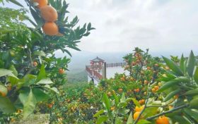 爭做文明游客，不負(fù)城固美景！縮略圖