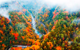 福利來啦！漢中、商洛、寶雞、咸陽這些景區(qū)免票→縮略圖