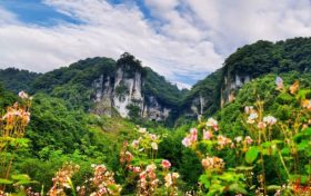 漢中黎坪景區(qū)冬日暫別，相約2025年春之盛景縮略圖