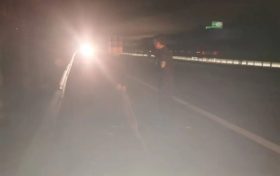 有“警”無險！老人迷路誤入高速，交警及時救助縮略圖
