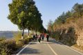1月5日，漢中氣象發(fā)布大霧黃色預(yù)警信號(hào)縮略圖
