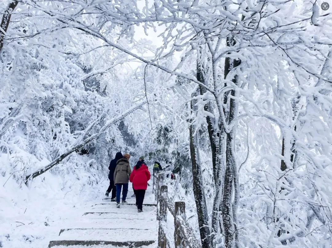 2024漢江源冰雪旅游季抖音大賽等你來挑戰(zhàn)！