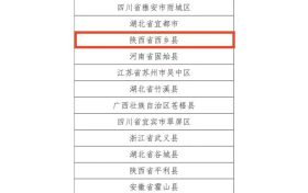 喜報！漢中4縣7茶企上榜！縮略圖