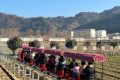 開門紅！全縣首輛！鱘游佛坪“熊貓?zhí)枴毙』疖囌竭\行→縮略圖
