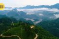 鎮(zhèn)巴楮溪源：山川之美創(chuàng)4A，茶旅融合新畫卷縮略圖